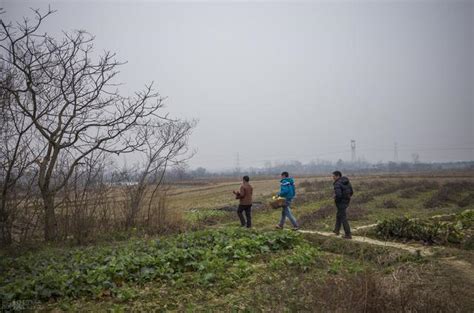 農村俗語「女婿不耕丈人田，清明不上娘家墳」，這是啥意思？ 每日頭條