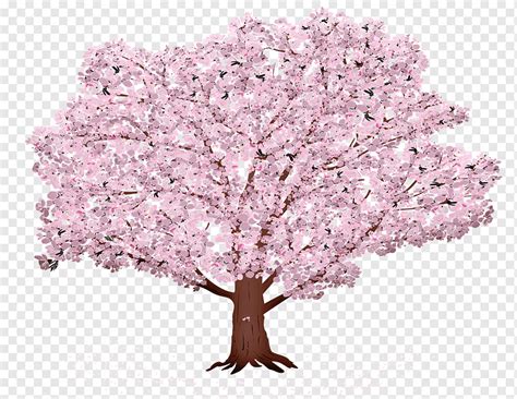 Fondo De árbol De Sakura Rayos De Sol Sakura Verano Primavera