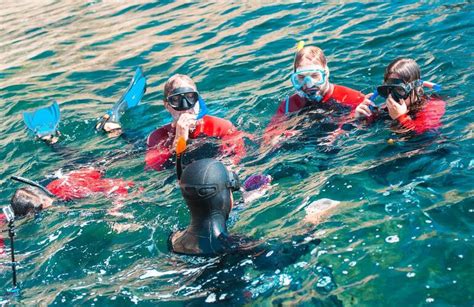 Snorkeling guided excursion in Arrábidas Marine Park