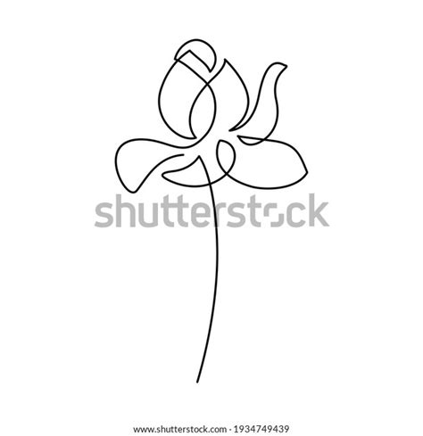 Flor De Lotus En Estilo De Dibujo De L Neas Continuas Dise O Lineal