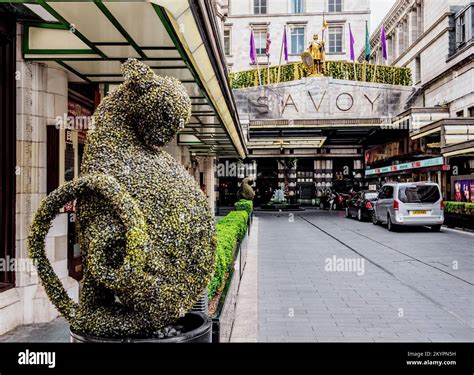 The Savoy Hotel, London, England, United Kingdom Stock Photo - Alamy