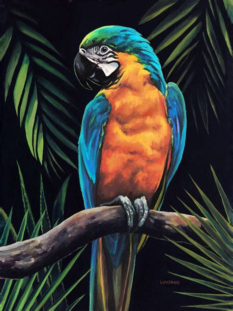 Parrot Print For Tropical Wall Decor Parrot Poster Macaw Etsy Uk