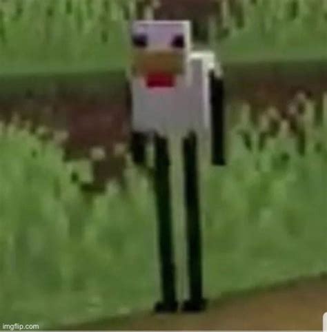 Cursed Minecraft Chicken Imgflip