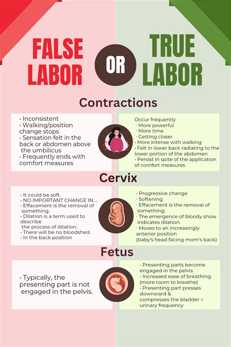 Understanding False Vs True Labor What You Need To Know Nurse Study