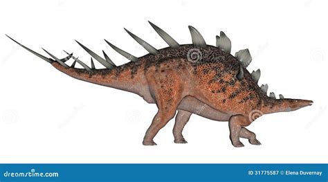 Kentrosaurus Dinosaur Stock Illustration Illustration Of Late 31775587