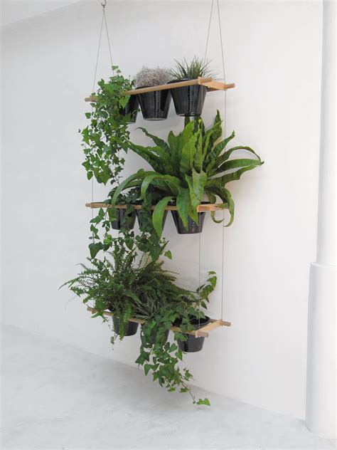 99 Great Ideas to display Houseplants | Indoor Plants Decoration | Page ...