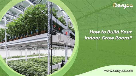 How To Build Your Indoor Grow Room Casyoo