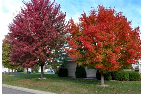 The Fall Colors in Central Minnesota Are Peaking [PHOTOS]