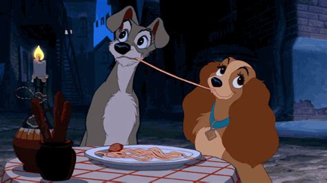 61 Classic Lady And The Tramp Quotes