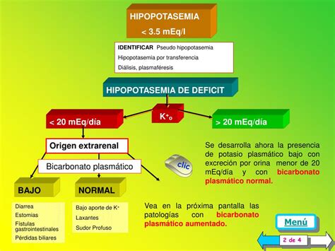 O Que É Hipopotassemia - Hipopotassemia O Que é - RETOEDU