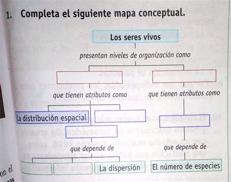 SOLVED Pporfa Porfa Porfa Les Doy Coronita 1 Completa El Siguiente