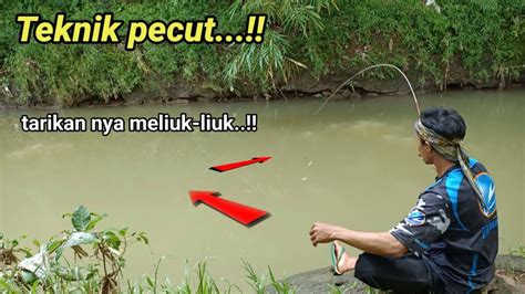 Fishing Rod Edan Mancing Wader Pari Di Sini Bikin Jantungan Lemparan