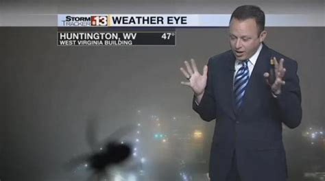 TV Weatherman Startled By Giant Spider Image | Gephardt Daily