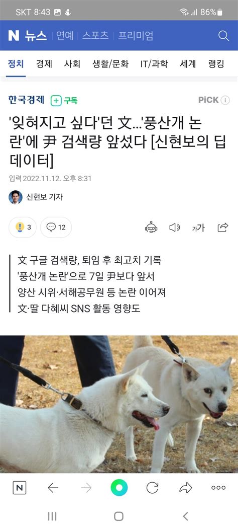 잊혀지고 싶다던 文풍산개 논란에 尹 검색량 앞섰다 신현보의 딥데이터 정치시사 에펨코리아