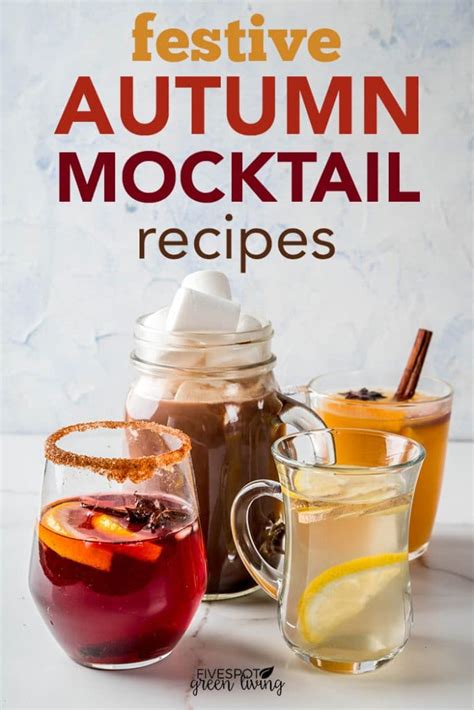 Festive Autumn Mocktails Recipes Five Spot Green Living