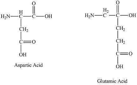 Aspartic Acid Structure