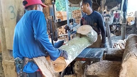 Menggergaji Kayu Medang Jengkol Dan Kayu Durian Youtube