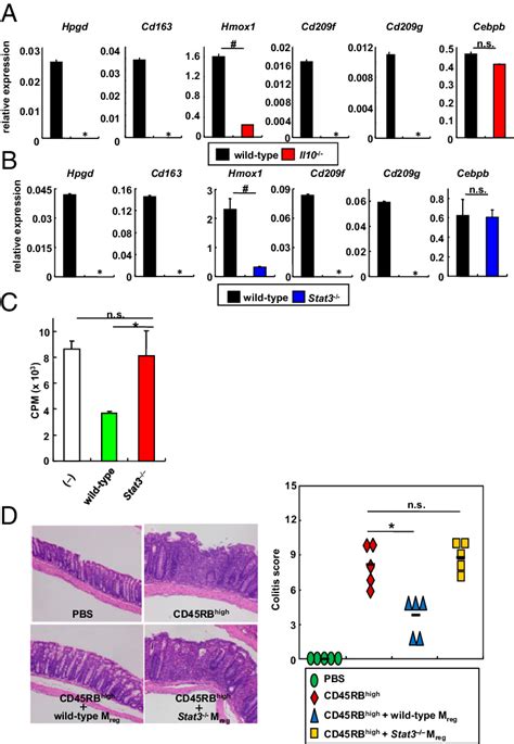 Defective Activity Of Stat3 M Reg Cells A And B Expression Of