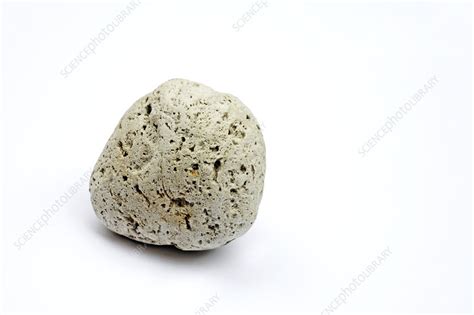 Pumice stone - Stock Image - E417/0281 - Science Photo Library