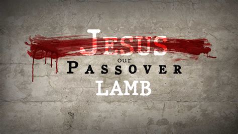 Messiah Our Passover Lamb Cibolocreek