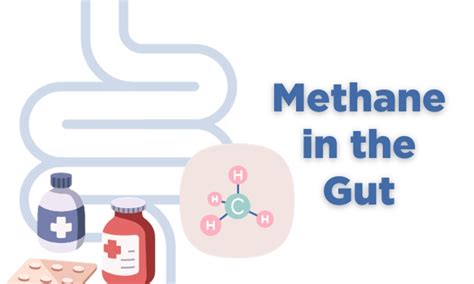 Managing Methane In The Gut - 4 Beneficial Treatments - OMED Health