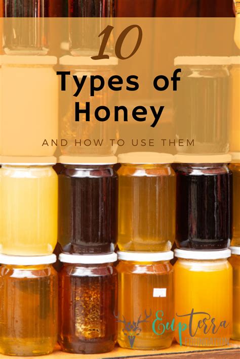 10 Types Of Honey A Guide To Varieties And Uses