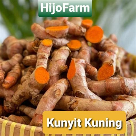 Jual Kunyit Kunir Kuning Segar Gr Kota Malang Hijofarm Tokopedia