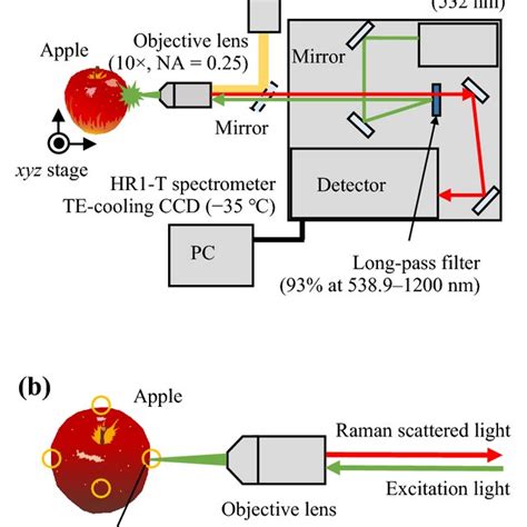 A Overview Of The Raman Spectroscopy Experimental Setup And B An