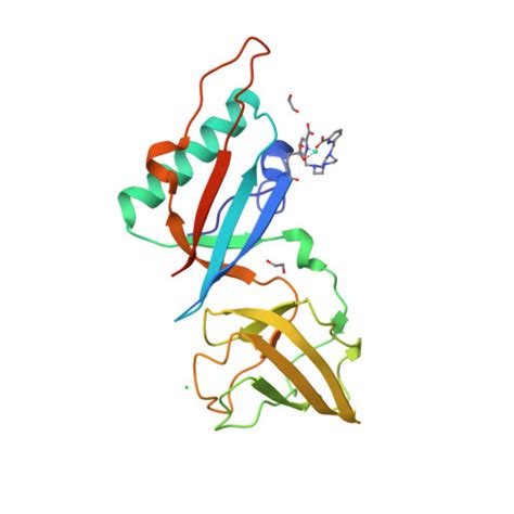 Rcsb Pdb F M Structure Of The Bacteriophage T Distal Tail Protein