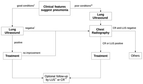 Pneumonia Diagnosis