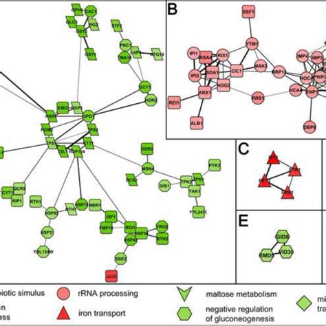 Transcriptional Networks High Resolution Yeast Transcriptional Networks