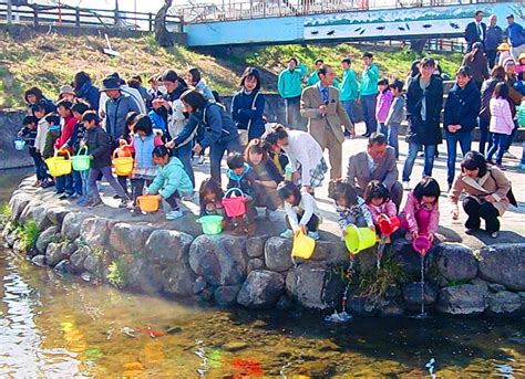 「大きく育ってね」 桜咲く高田川に幼稚園児が魚放流 産経新聞 奈良県専売会