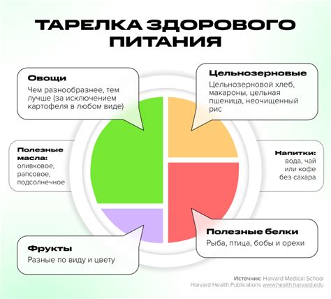 Тарелка здорового питания или гарвардская тарелка принципы и