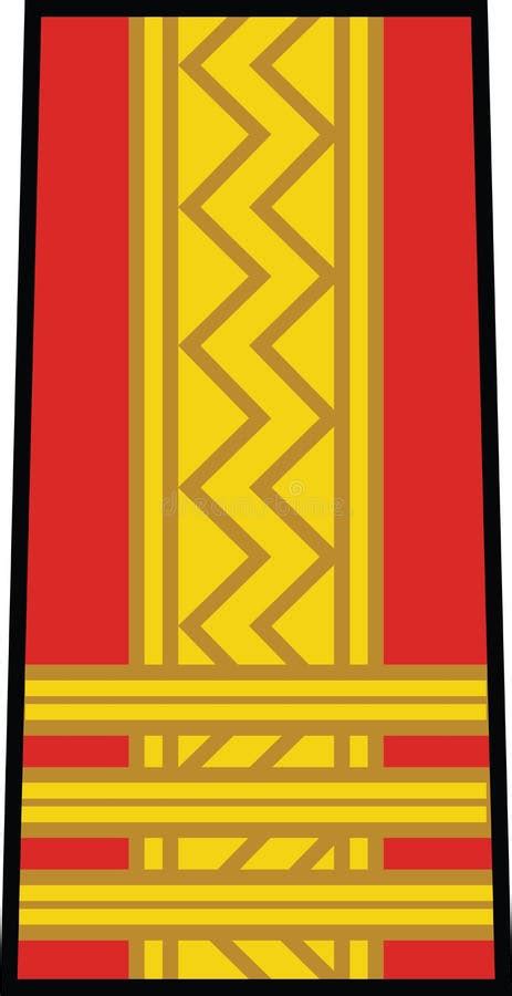 Hombrera De Hombro Oficial Militar De La Otan Insignia Del Coronel