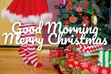 Decorating Good Morning Merry Christmas Pictures Photos And Images