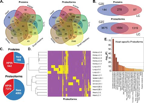 Figure From Mapping The Proteoform Landscape Of Five Human Tissues