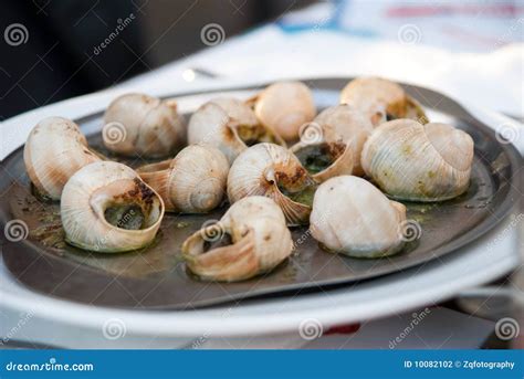 French Snail Dinner Stock Photo Image Of Macro Baked 10082102