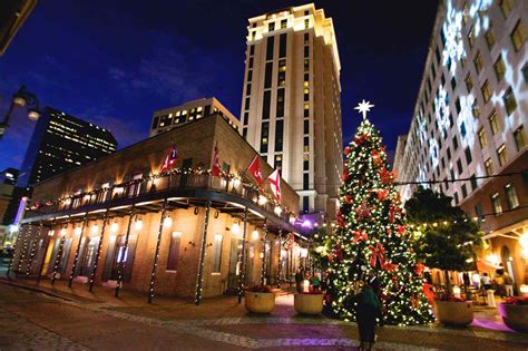 Winter in New Orleans: What to Expect on a Walking Tour - NOLWT