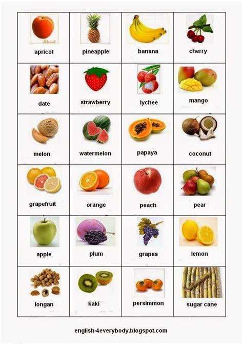 English for Beginners: Fruits in English