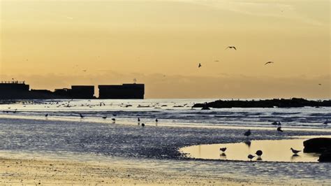 Hastings Beach at Low Tide - Compelling Photography