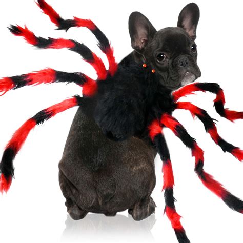 Buy Malier Halloween Dogs Cats Costume Furry Giant Simulation Spider ...