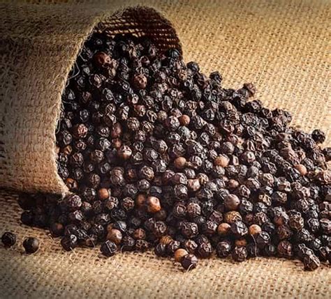 Natural Black Pepper For Cosmetics Food Medicine Spices Cooking