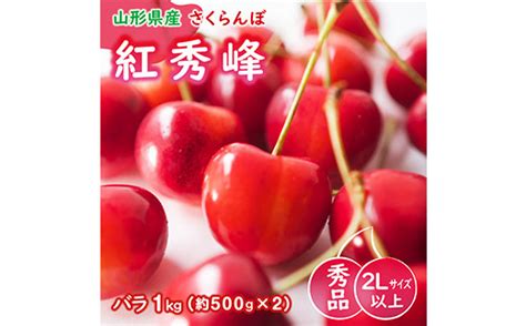 《令和6年度産先行受付》 ※数量・期間限定※ 山形県産さくらんぼ 紅秀峰 バラ1kg 秀品 2lサイズ以上 Fsy 0001 山形県