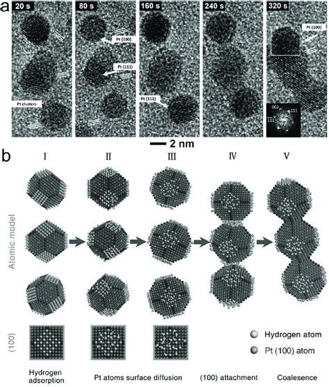 Illustrations Of Oriented Attachment In Pt Nanowire Formation And