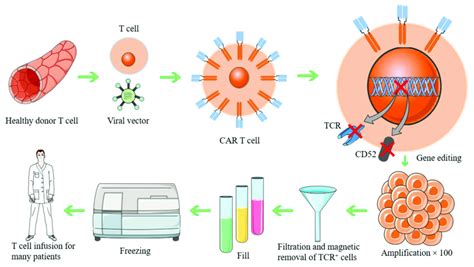 Flowchart Of Allogeneic Car T Cell Production Download Scientific Diagram