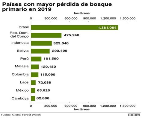 Las Terribles Cifras De La Deforestación Biodiversidad En América Latina