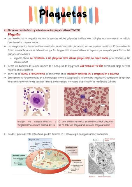 Hemostasia Plaquetas Y Alteraciones Medicomely Udocz