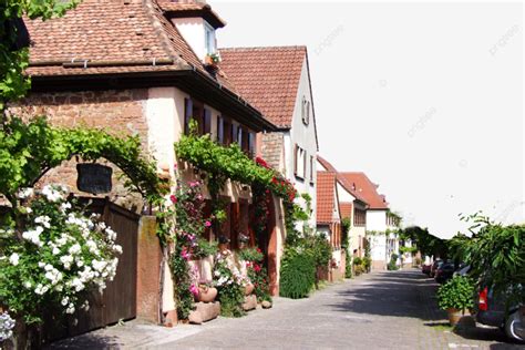 Rhodt Unter Rietburg Ortsbild Theresienstrasse Rhodt PNG Dibujos Bajo