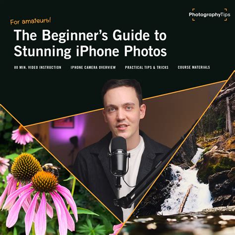 The Beginner's Guide to Stunning iPhone Photos - Photography Tips
