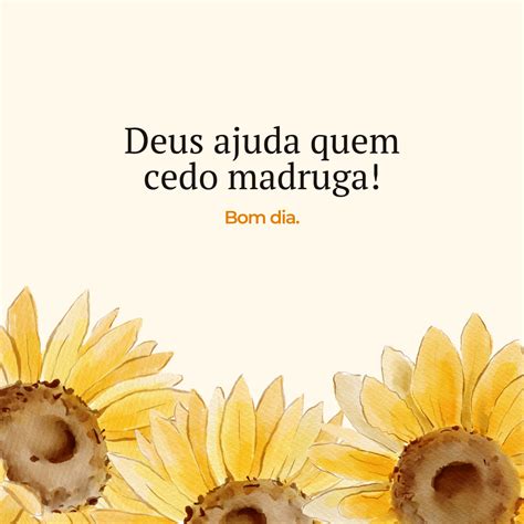 Deus Ajuda Quem Cedo Madruga - Deus ajuda quem cedo madruga! Bom dia.